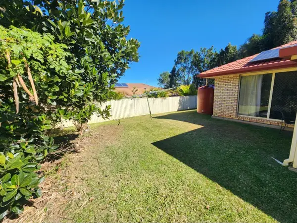 Backyard lawn mown to the edge of a shrub border and boundary fence