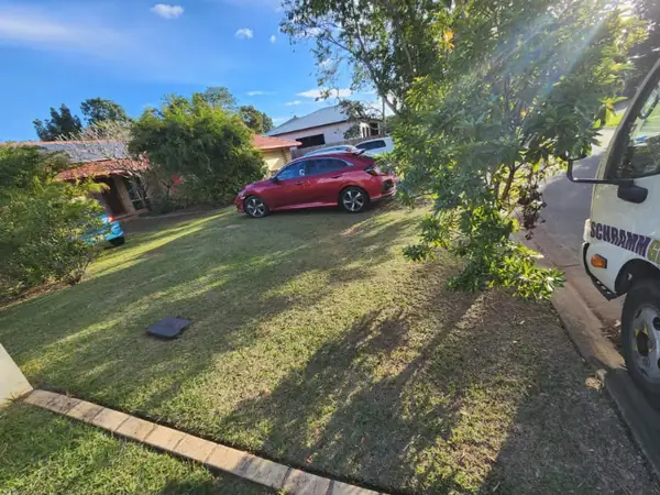 Front verge lawn mown around an established street tree