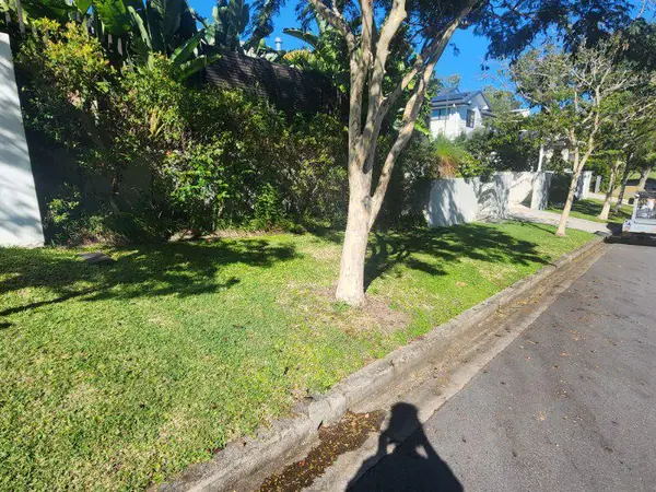 Nature strip lawn mown under mature shade trees beside a driveway