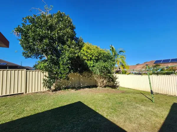 Backyard lawn mown under a large shade tree against a Colorbond boundary fence