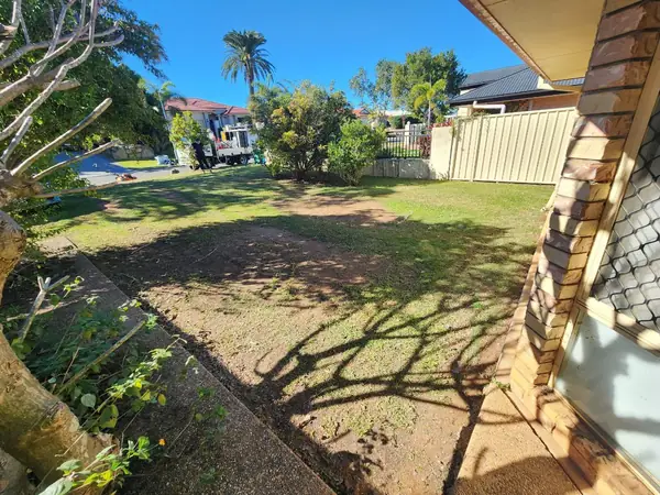 Shaded side yard mown and tidied along a concrete path