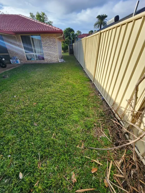 Side lawn strip mown between a house wall and Colorbond fence