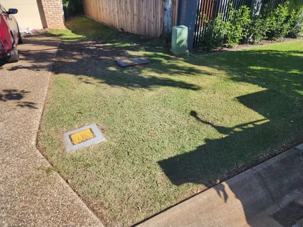 Side yard lawn mown along a timber fence and concrete path