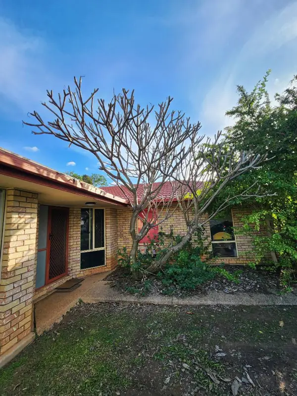 Tree pruned back to clear the roofline and front windows of a home
